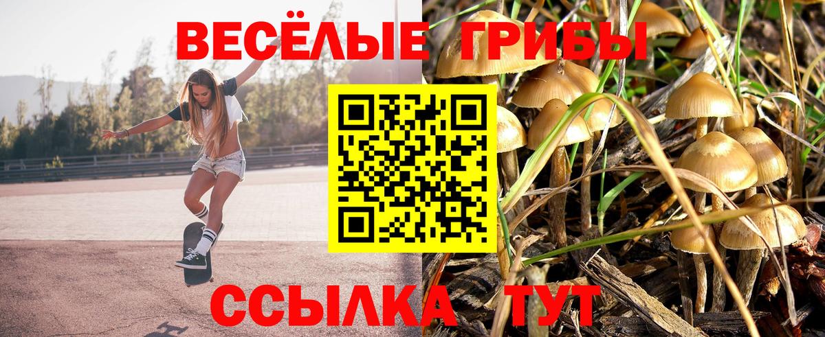 Ростов-на-Дону  Псилоцибиновые грибы Psilocybe  Вход с VPN 