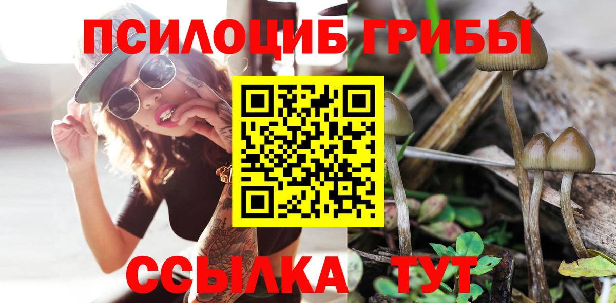Псилоцибиновые грибы Magic Shrooms Ростов-на-Дону